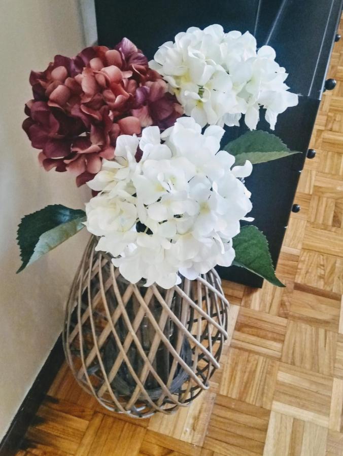 Apartamento Araceli Proximo A Clinica Oftalmologica Fdez Vega Apartment โอเบียโด ภายนอก รูปภาพ